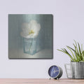 'Single White Tulip' by Danhui Nai – Metal Wall Art, 12x12 room view