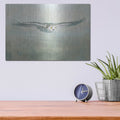 'Soaring Neutral' by Danhui Nai – Metal Wall Art, 16x12 room view