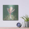 'Soft Crocus' by Danhui Nai – Metal Wall Art, 12x12 room view