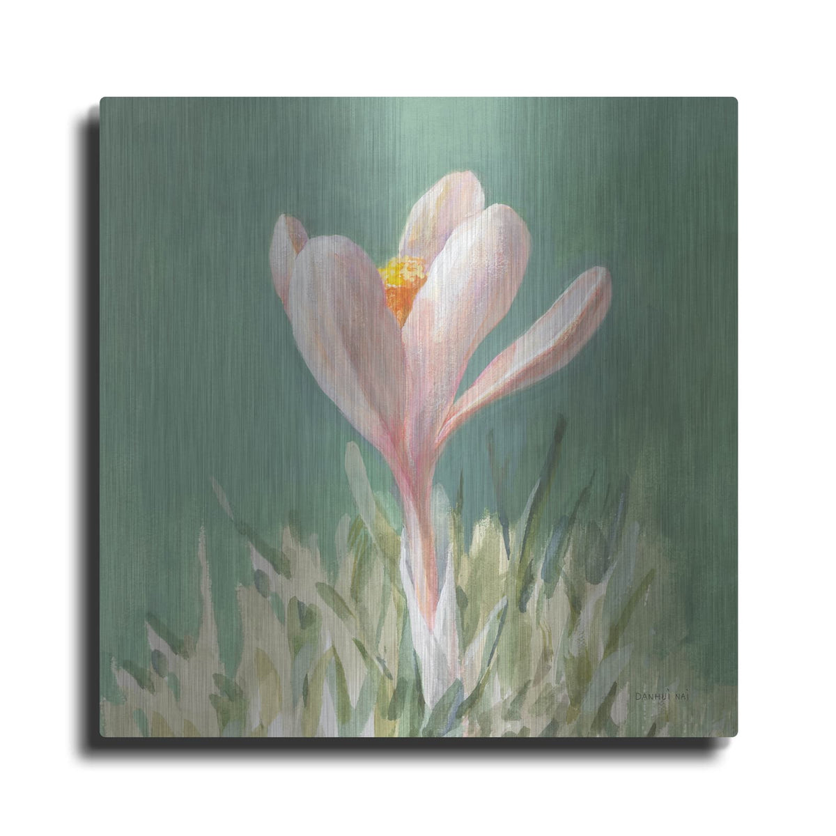 'Soft Crocus' by Danhui Nai – Metal Wall Art