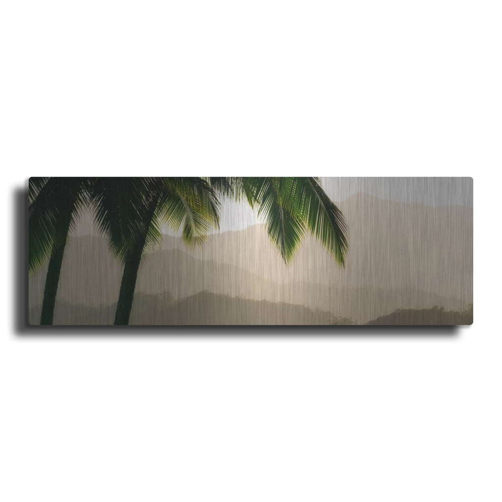 'Misty Palms IV' by Dennis Frates – Metal Wall Art