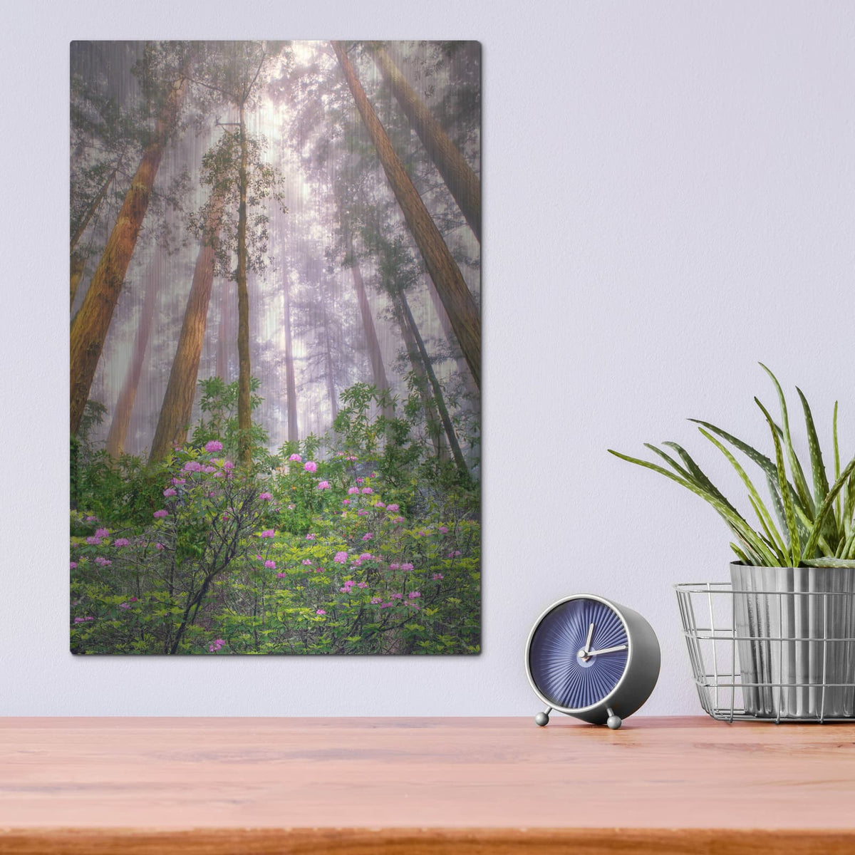 'Look Up' by Dennis Frates – Metal Wall Art, 12x16 room view