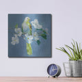 'Spring In The Neighborhood 2' by Danhui Nai – Metal Wall Art, 12x12 room view