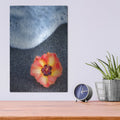 'Beach Floral' by Dennis Frates – Metal Wall Art, 12x16 room view