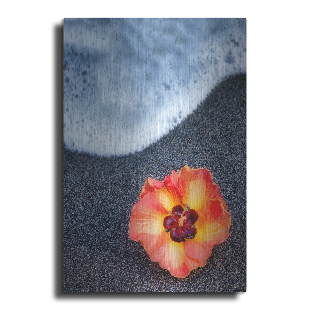 'Beach Floral' by Dennis Frates – Metal Wall Art