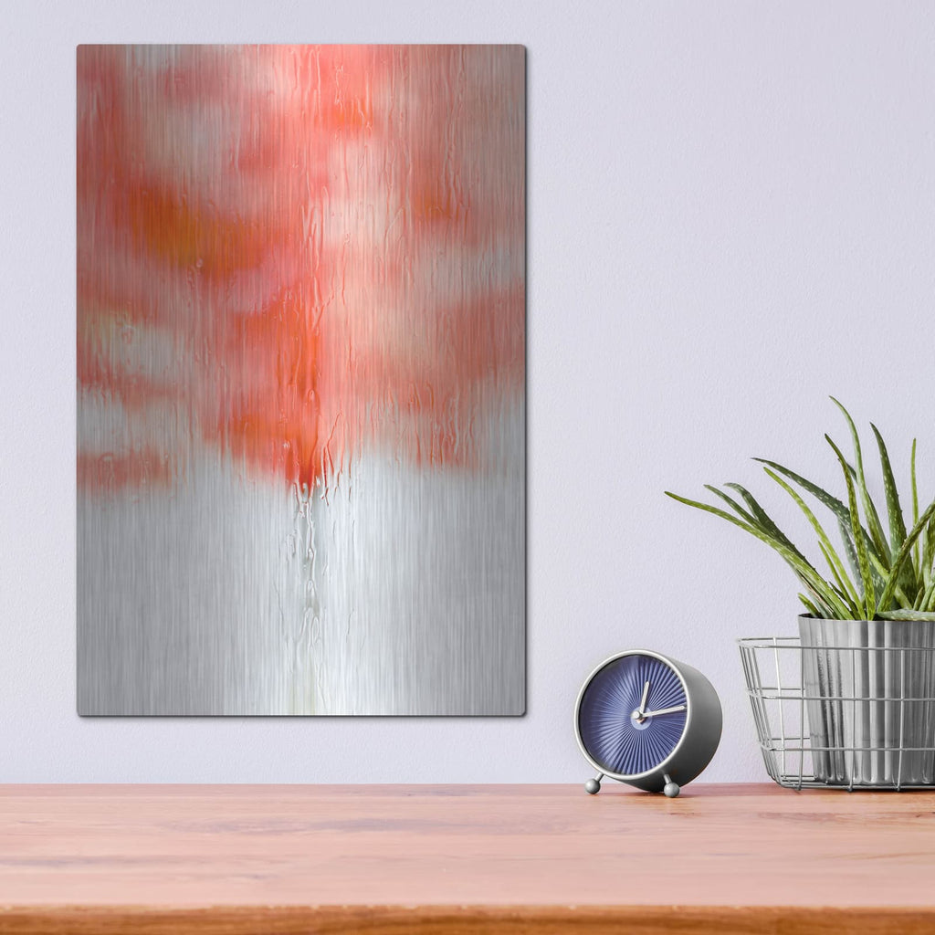'Coral Window II' by Dennis Frates – Metal Wall Art, 12x16 room view