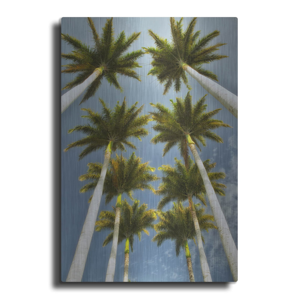 'Worms Eye II' by Dennis Frates – Metal Wall Art
