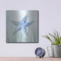 'Undersea Starfish Seaweed' by Danhui Nai – Metal Wall Art, 12x12 room view