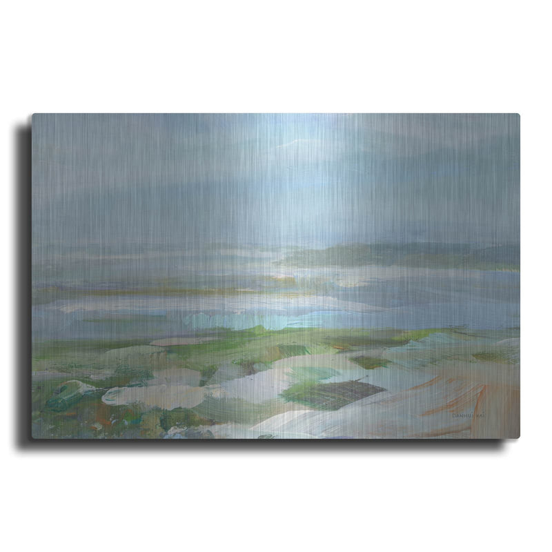 'View Of The Headland' by Danhui Nai – Metal Wall Art