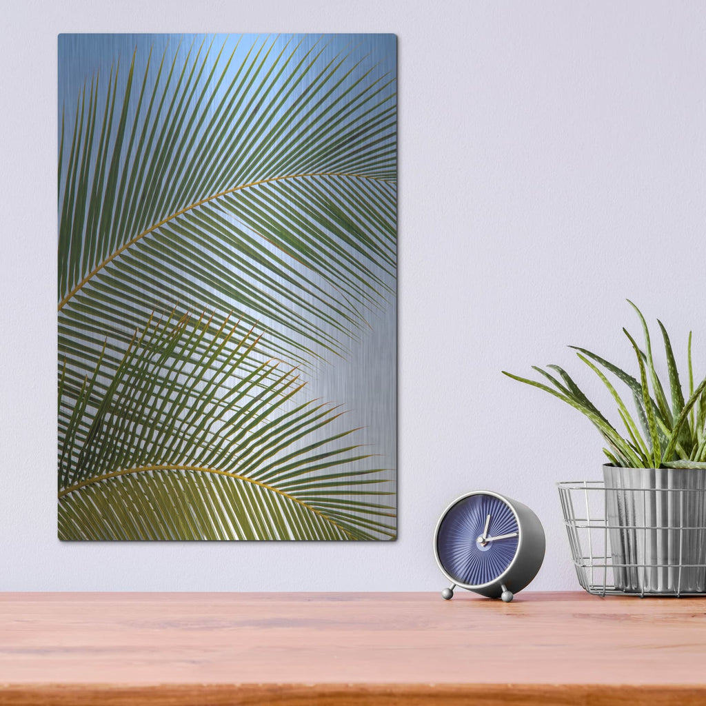 'Tropical II' by Dennis Frates – Metal Wall Art, 12x16 room view
