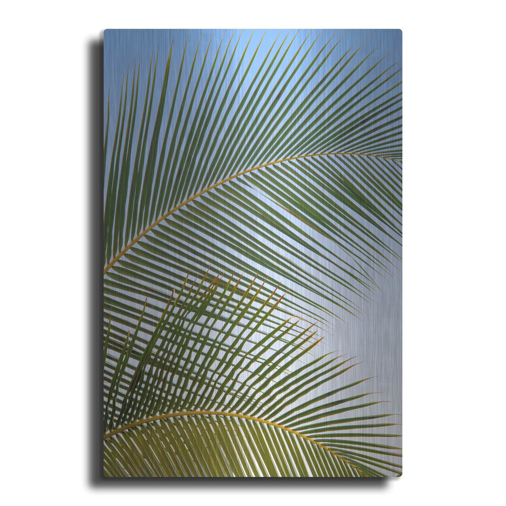 'Tropical II' by Dennis Frates – Metal Wall Art