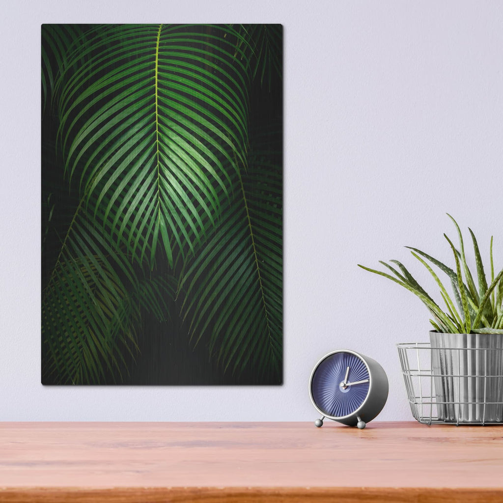 'Tropical IV' by Dennis Frates – Metal Wall Art, 12x16 room view