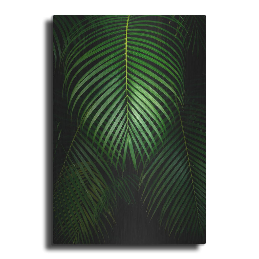 'Tropical IV' by Dennis Frates – Metal Wall Art