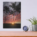 'Sunset Silhouette' by Dennis Frates – Metal Wall Art, 12x16 room view