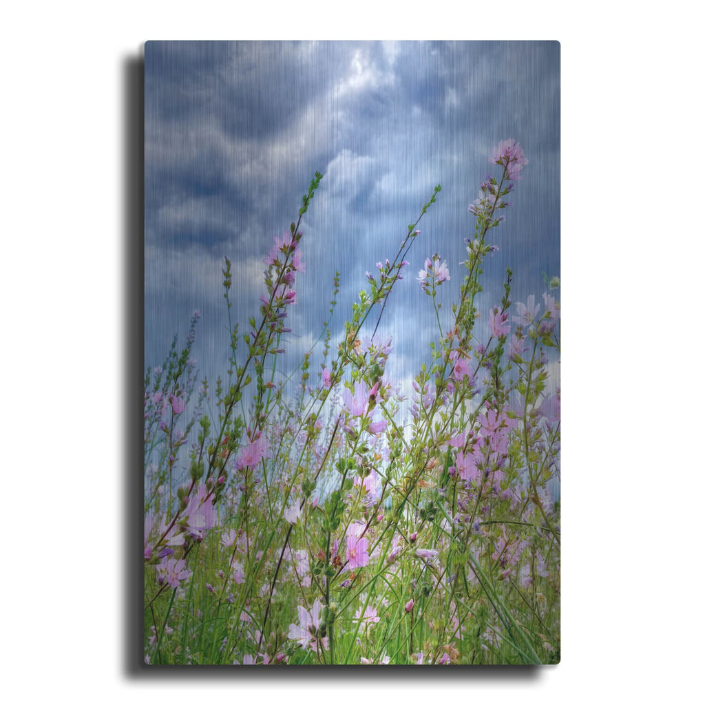 'Wild Flowers' by Dennis Frates – Metal Wall Art