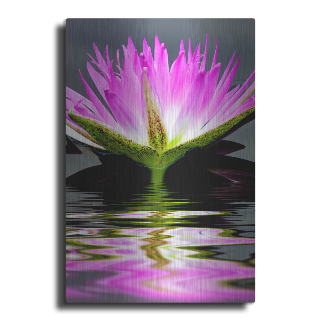 'Purple Reflection' by Dennis Frates – Metal Wall Art
