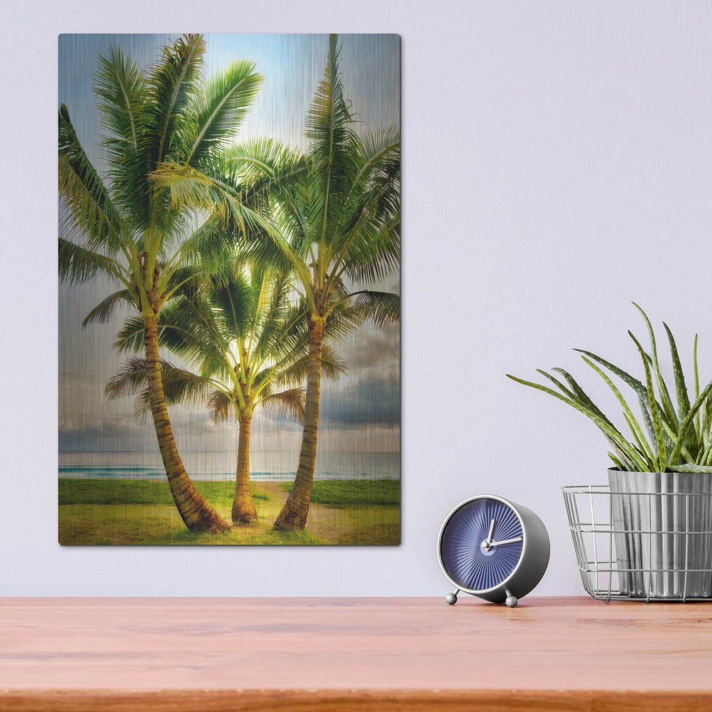 'Triple Palm' by Dennis Frates – Metal Wall Art, 12x16 room view