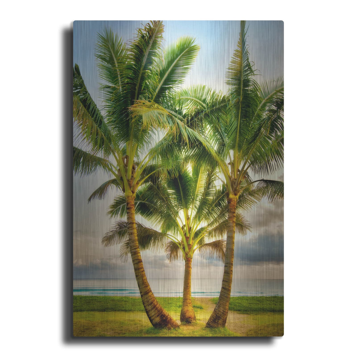 'Triple Palm' by Dennis Frates – Metal Wall Art