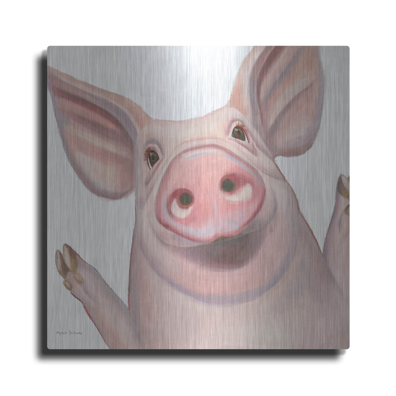 'Farm Friends 4' by Myles Sullivan – Metal Wall Art