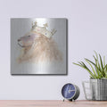 'Jungle Royalty 1 C' by Myles Sullivan – Metal Wall Art, 12x12 room view