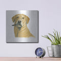 'The Boys 1' by Myles Sullivan – Metal Wall Art, 12x12 room view
