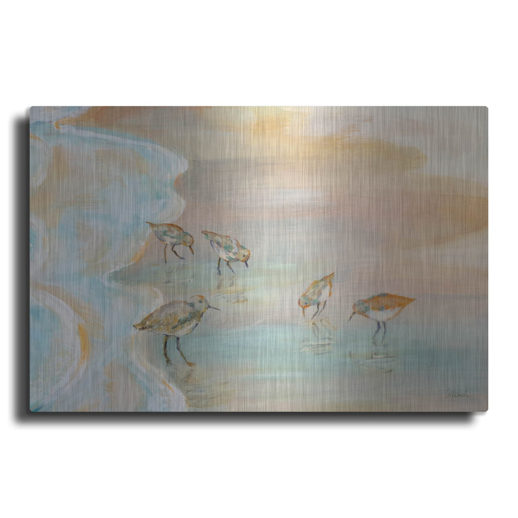 'Back Bay Sandpipers' by Sue Schlabach – Metal Wall Art