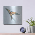 'Barn Swallow Flight 1' by Sue Schlabach – Metal Wall Art, 12x12 room view