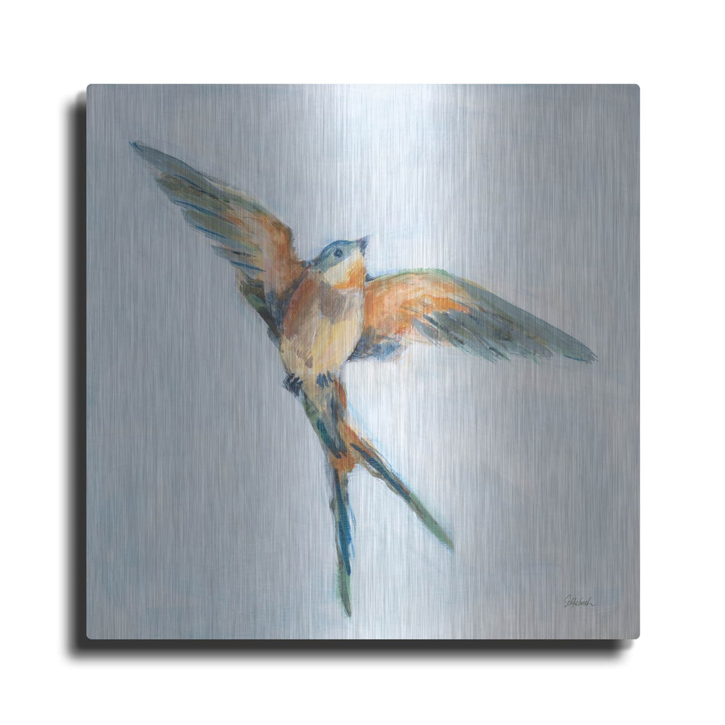 'Barn Swallow Flight 1' by Sue Schlabach – Metal Wall Art
