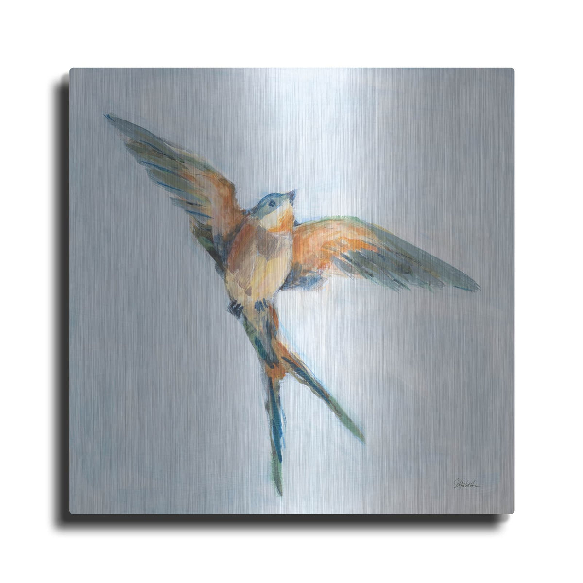 'Barn Swallow Flight 1' by Sue Schlabach – Metal Wall Art