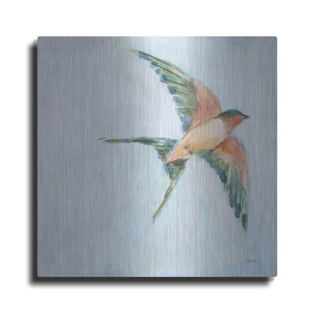 'Barn Swallow Flight 2' by Sue Schlabach – Metal Wall Art