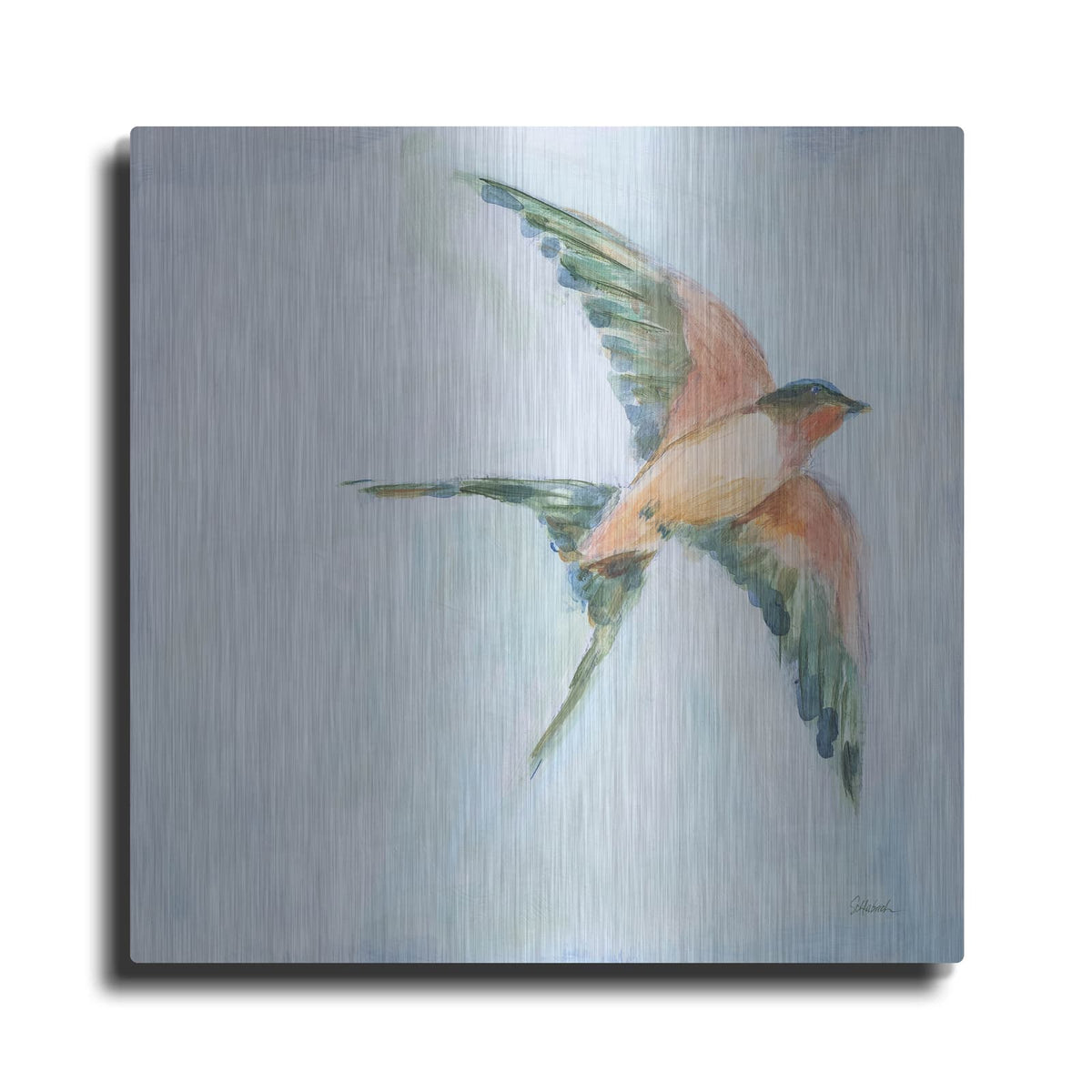 'Barn Swallow Flight 2' by Sue Schlabach – Metal Wall Art