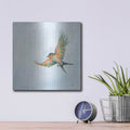 'Barn Swallow Flight 3' by Sue Schlabach – Metal Wall Art, 12x12 room view