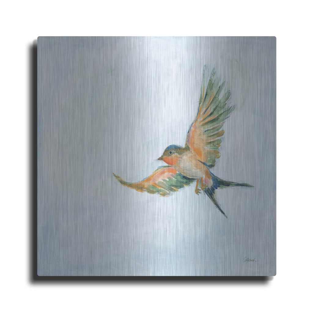 'Barn Swallow Flight 3' by Sue Schlabach – Metal Wall Art