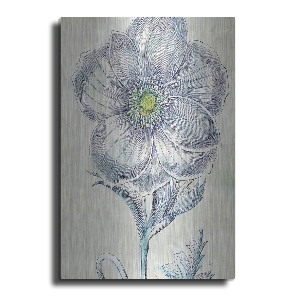 'Belle Fleur 2 C' by Sue Schlabach – Metal Wall Art