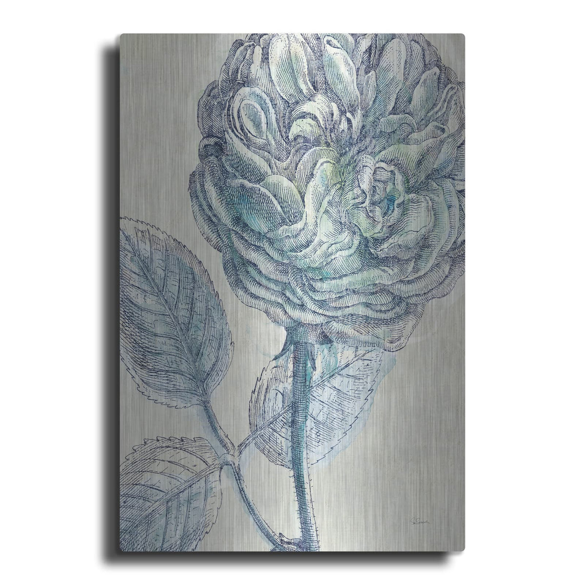 'Belle Fleur 3 C' by Sue Schlabach – Metal Wall Art