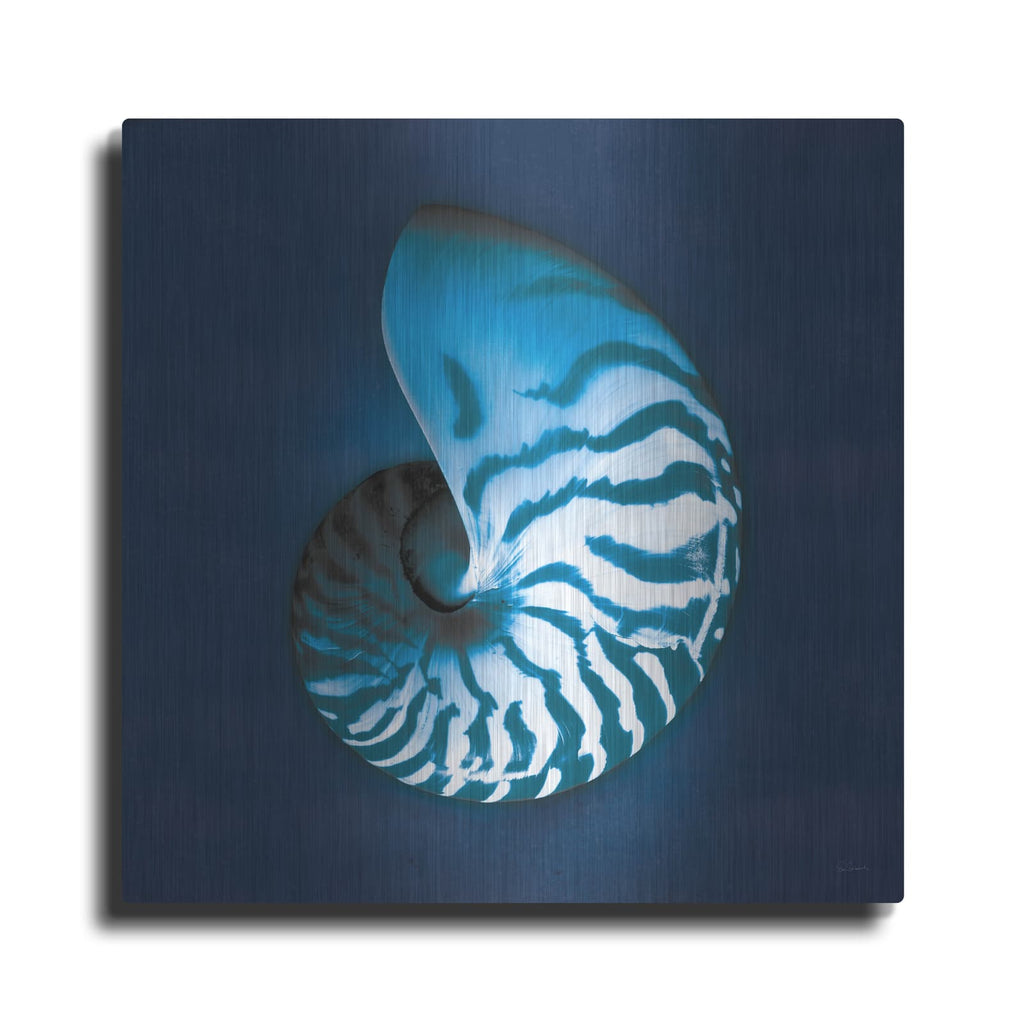 'Cyanotype Sea 1' by Sue Schlabach – Metal Wall Art