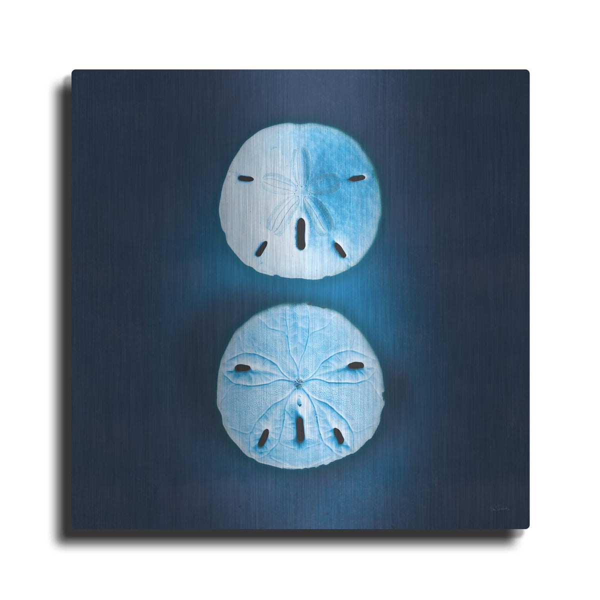 'Cyanotype Sea 4' by Sue Schlabach – Metal Wall Art