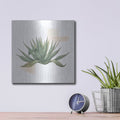 'Desert Color Succulent 1' by Sue Schlabach – Metal Wall Art, 12x12 room view