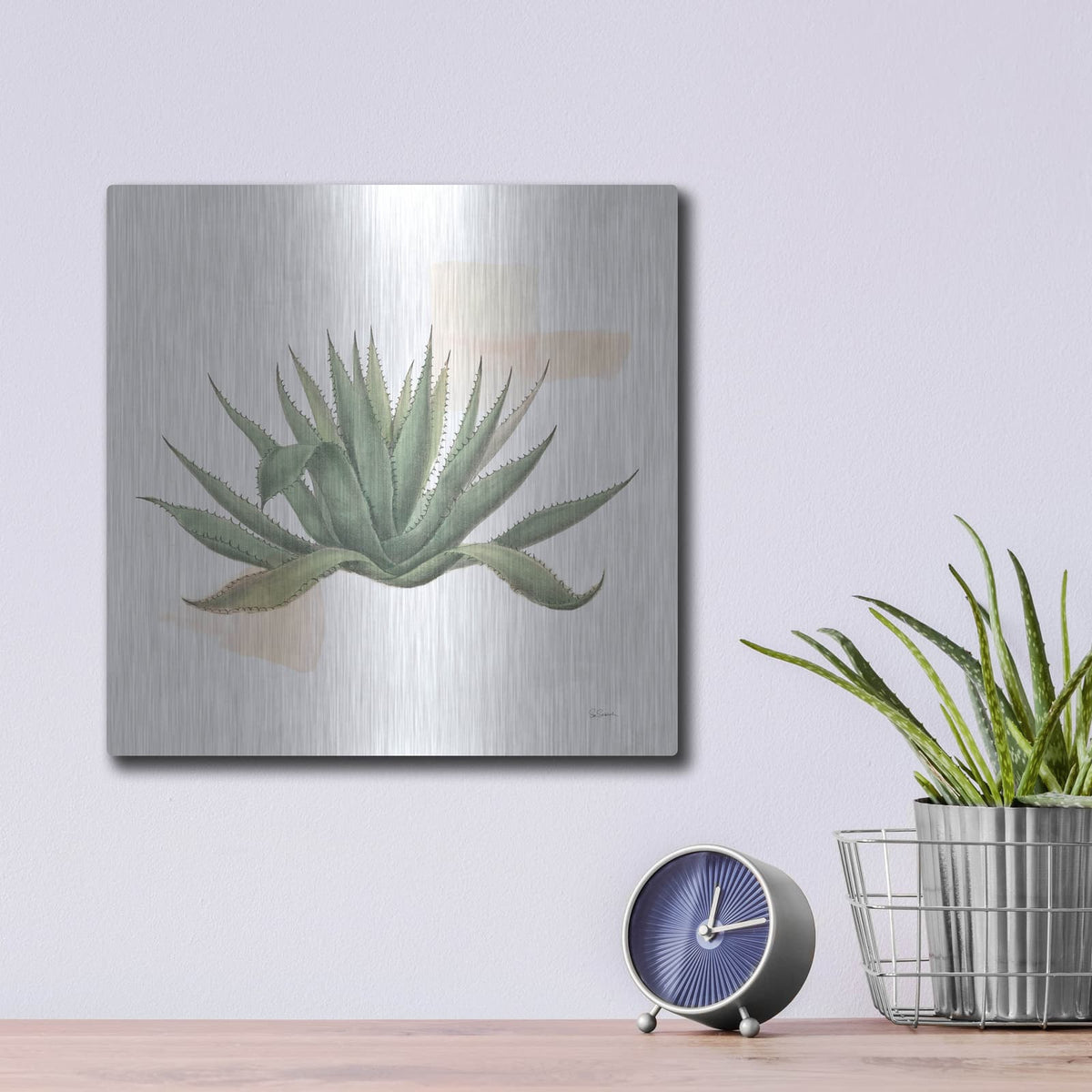 'Desert Color Succulent 1' by Sue Schlabach – Metal Wall Art, 12x12 room view