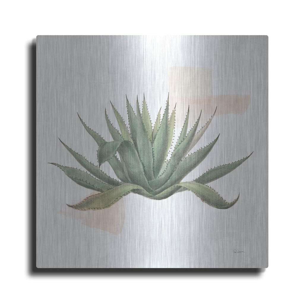 'Desert Color Succulent 1' by Sue Schlabach – Metal Wall Art