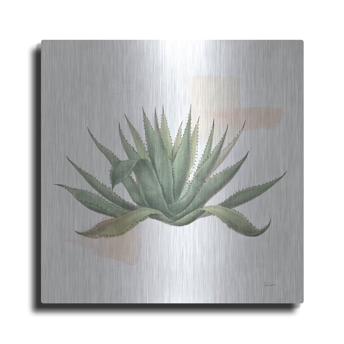 'Desert Color Succulent 1' by Sue Schlabach – Metal Wall Art