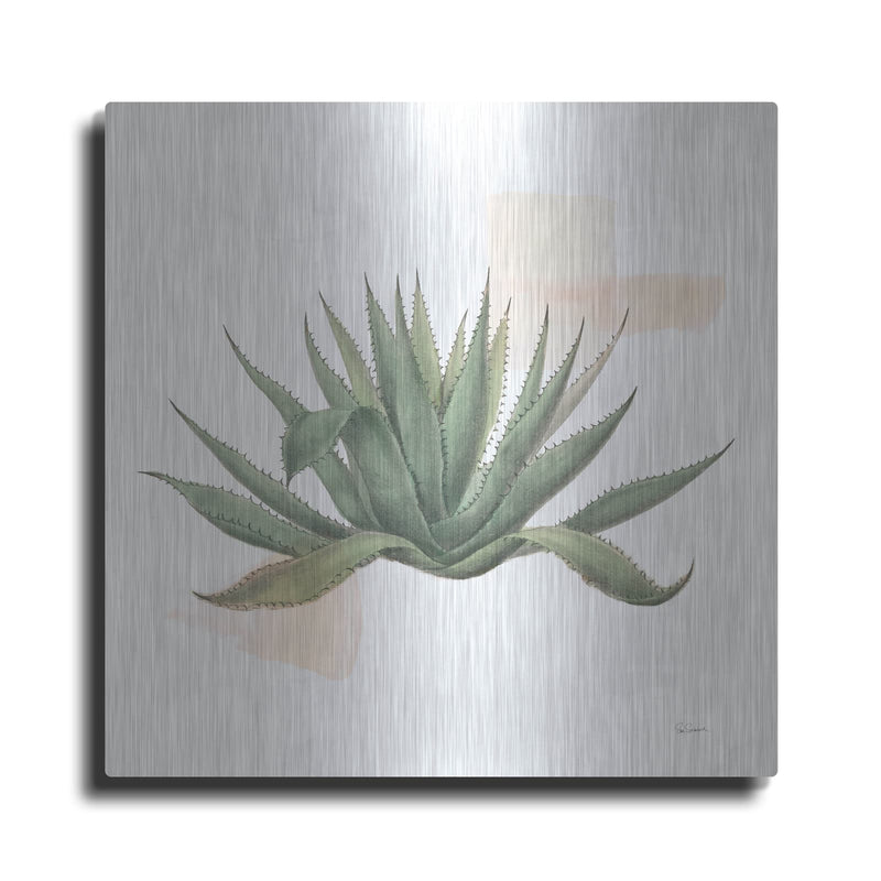 'Desert Color Succulent 1' by Sue Schlabach – Metal Wall Art