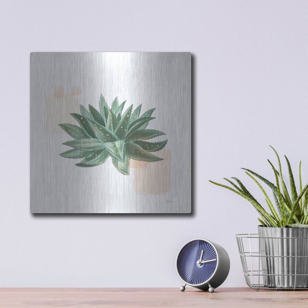 'Desert Color Succulent 2' by Sue Schlabach – Metal Wall Art, 12x12 room view
