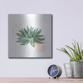 'Desert Color Succulent 2' by Sue Schlabach – Metal Wall Art, 12x12 room view
