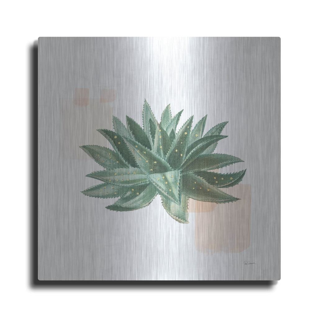 'Desert Color Succulent 2' by Sue Schlabach – Metal Wall Art