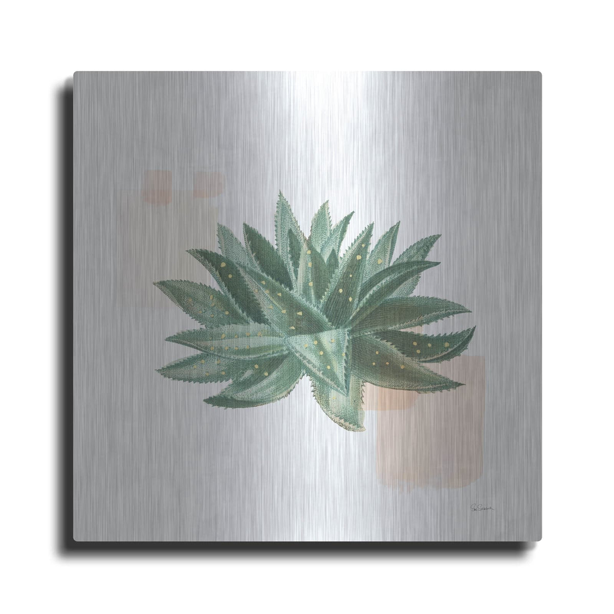 'Desert Color Succulent 2' by Sue Schlabach – Metal Wall Art