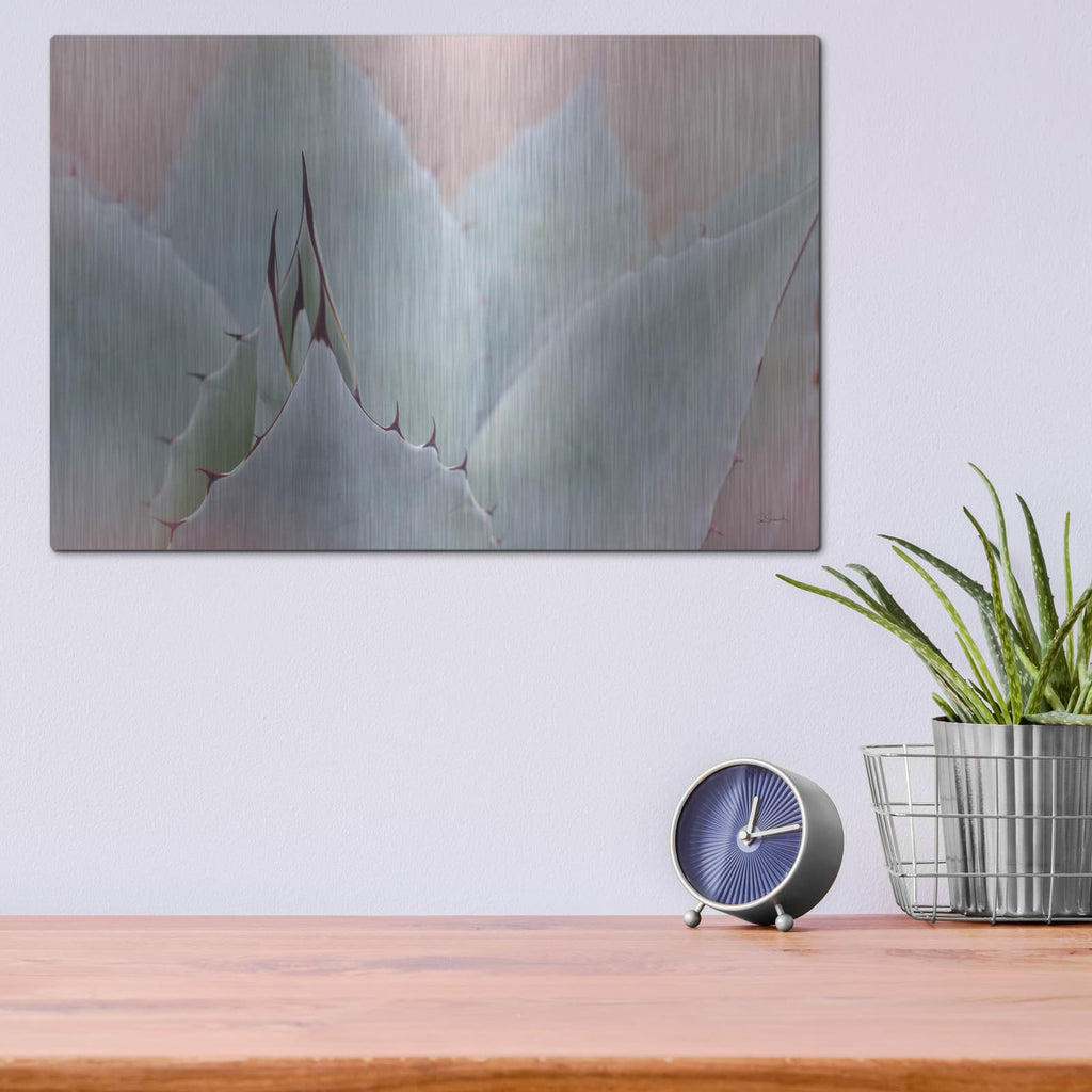 'Dream Desert 5' by Sue Schlabach – Metal Wall Art, 16x12 room view
