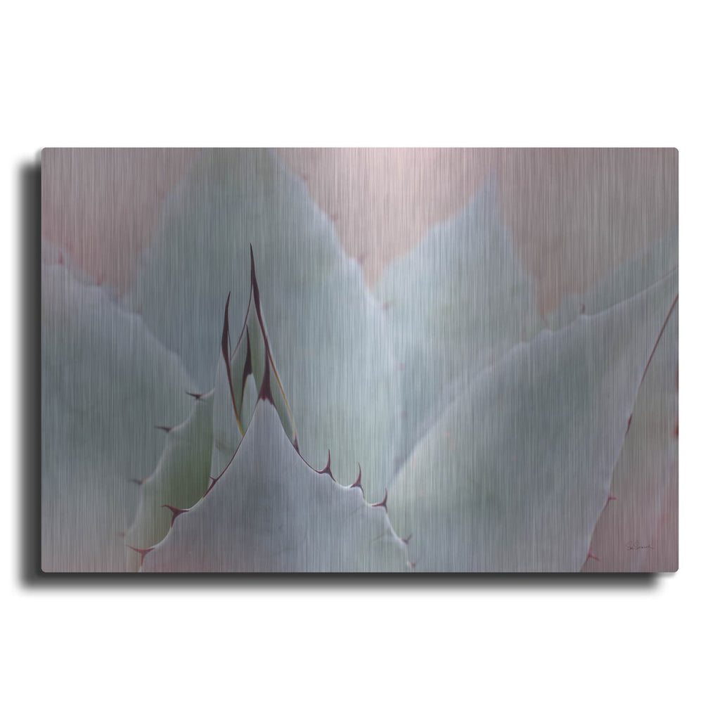 'Dream Desert 5' by Sue Schlabach – Metal Wall Art