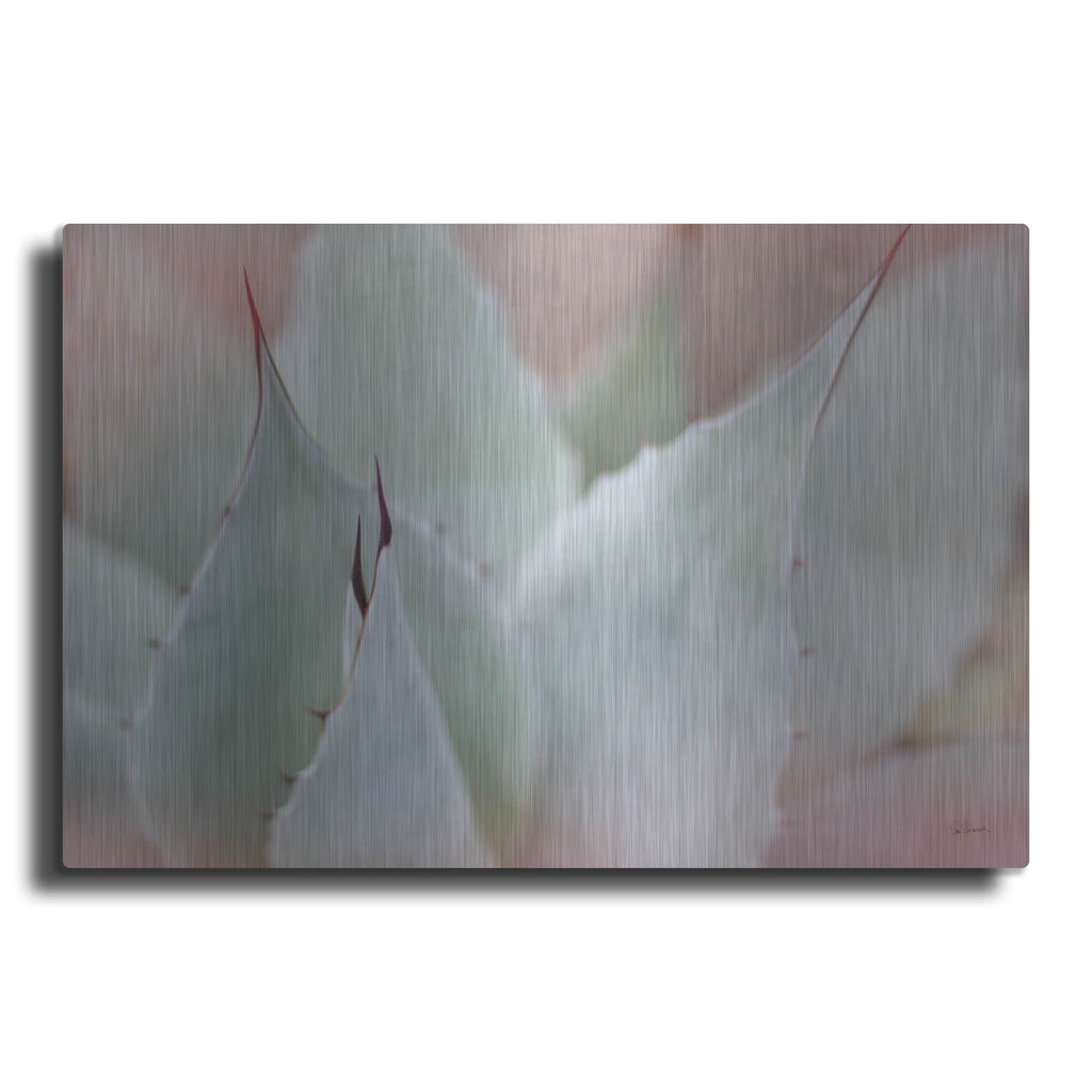 'Dream Desert 6' by Sue Schlabach – Metal Wall Art