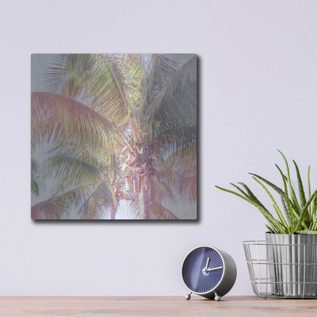 'Dream Palm 1 C' by Sue Schlabach – Metal Wall Art, 12x12 room view